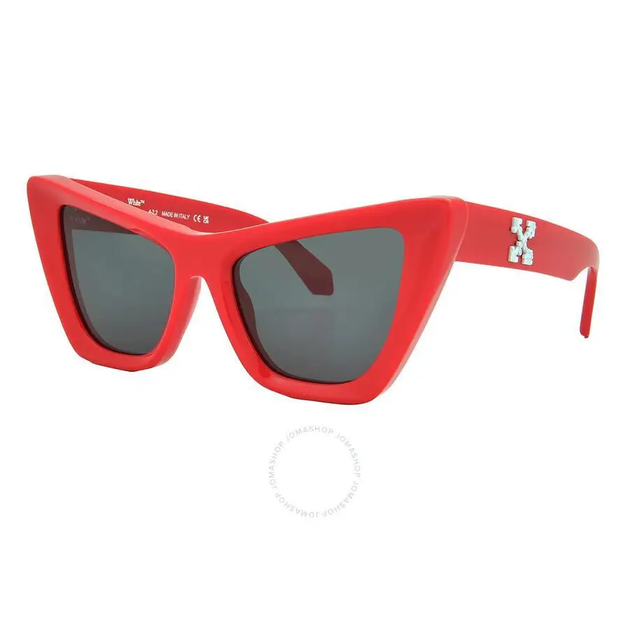 Off-White | Edvard Dark Grey Cat Eye Ladies Sunglasses OERI045 2507 - Image 3