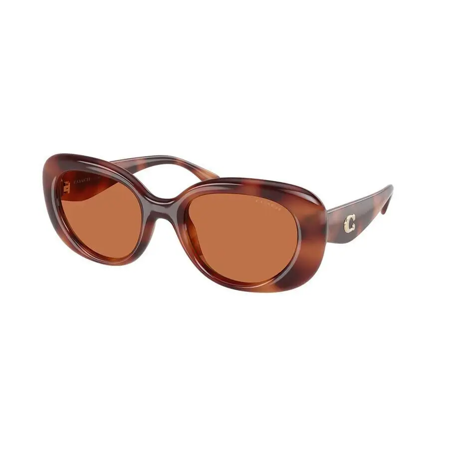 Coach | Brown Oval Ladies Sunglasses HC8391U 577473 53