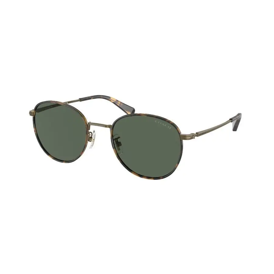 Coach | Green Oval Men's Sunglasses HC7163 933371 52