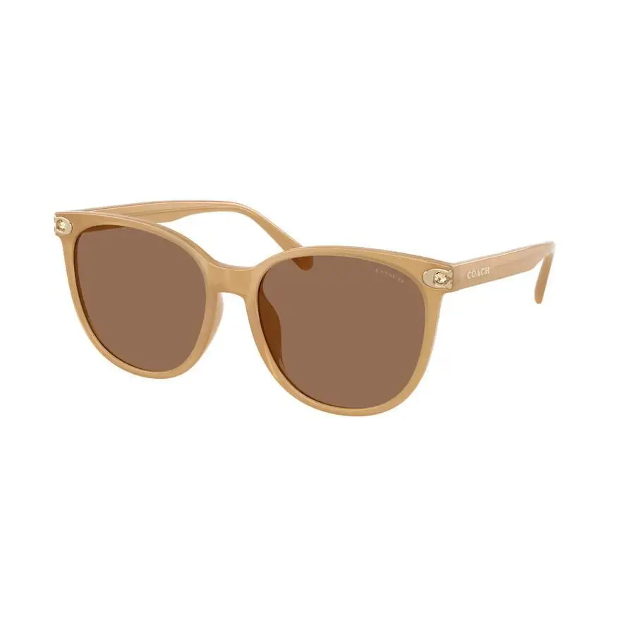 Coach | Brown Cat Eye Ladies Sunglasses HC8414BD 585473 57